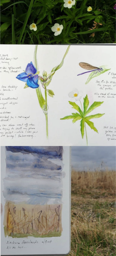 An open page of Karen Johnson's sketchbook